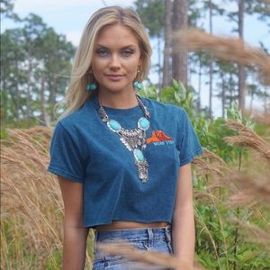 VINTAGE Utah Crop Top